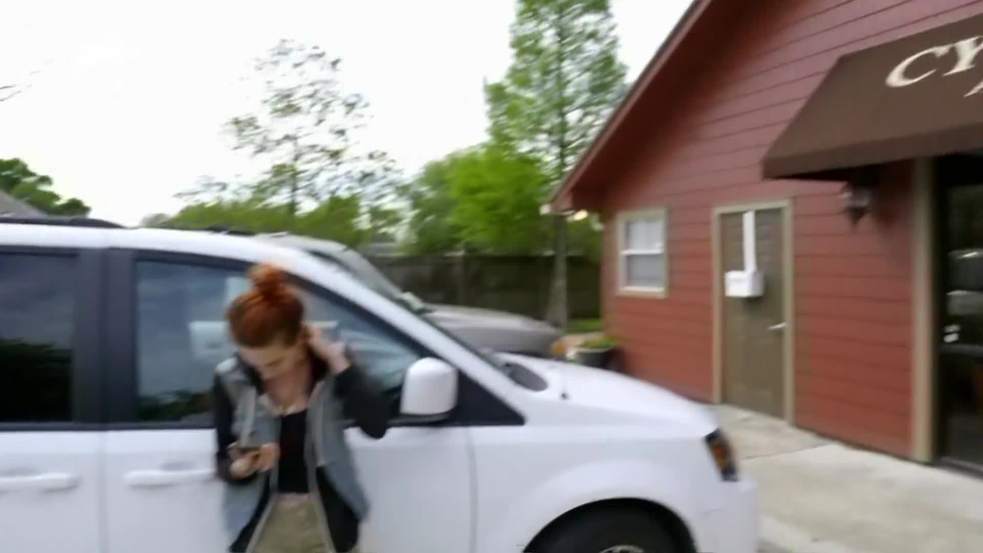 AnimalPlanet