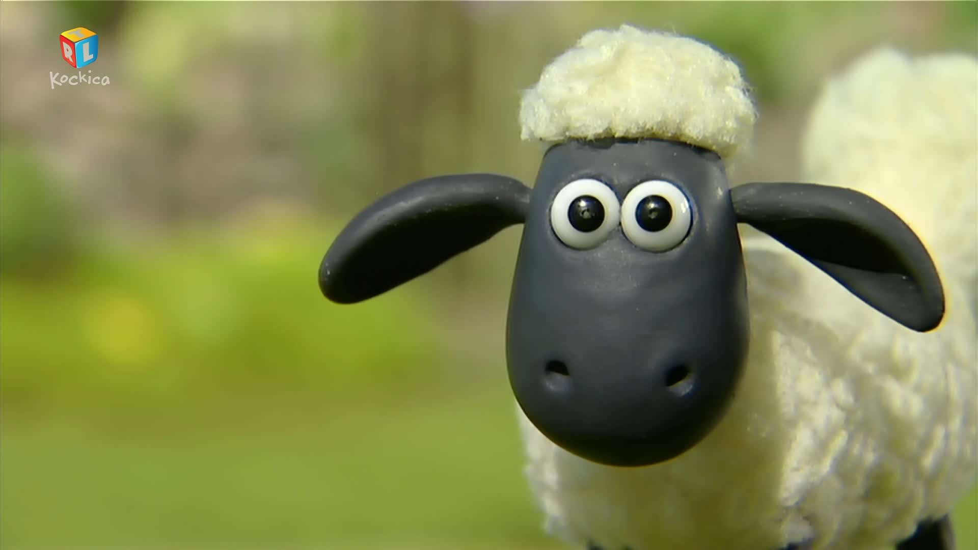 RTLKockica
