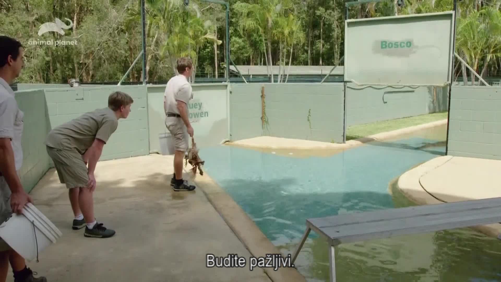AnimalPlanet