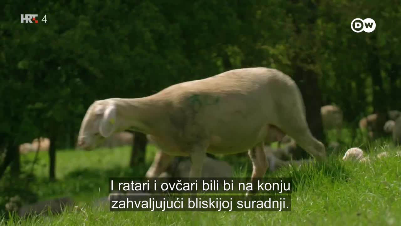 HRT4