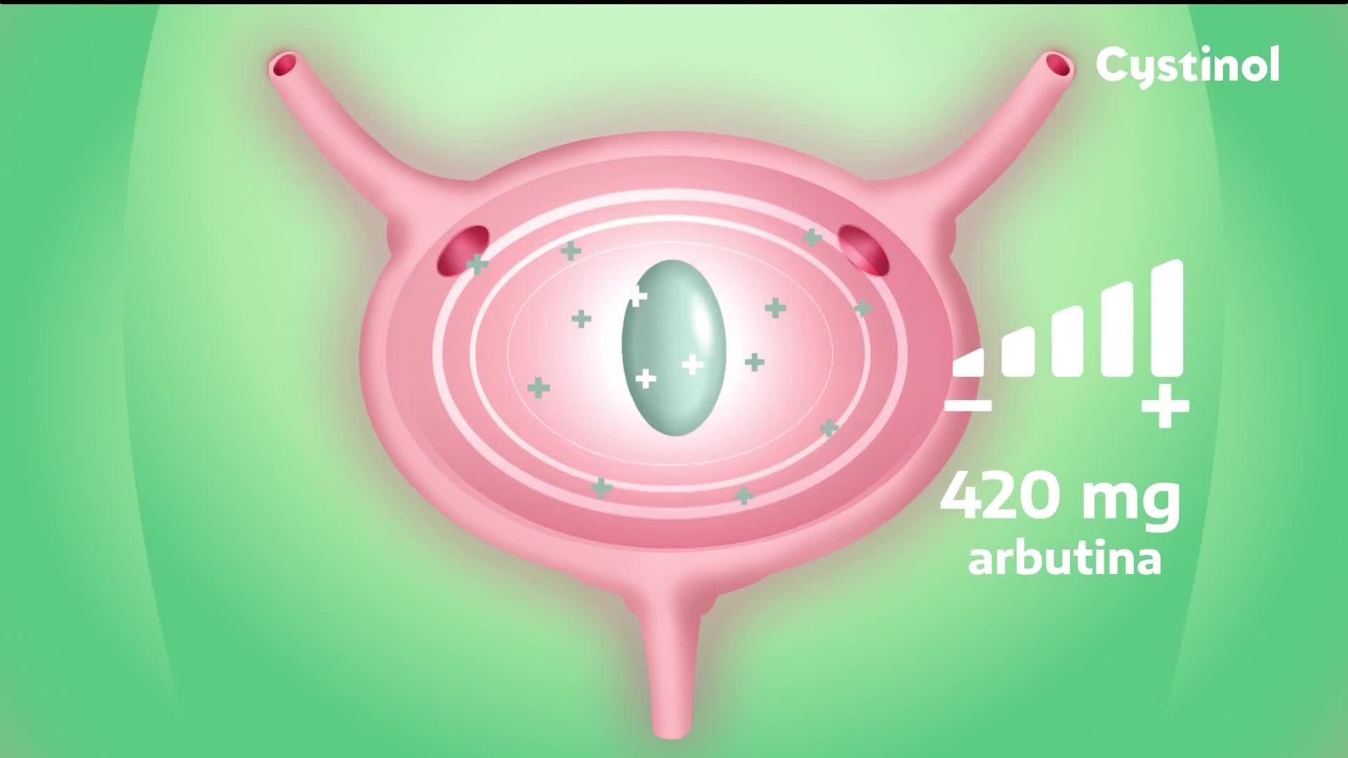 HRT2