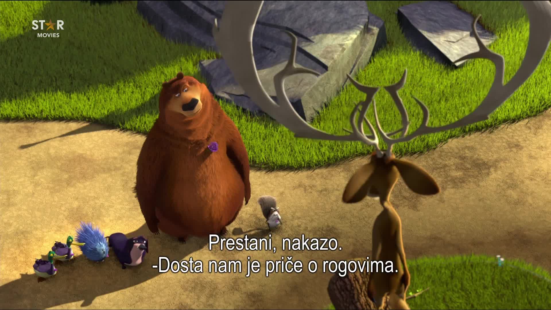 Premium15