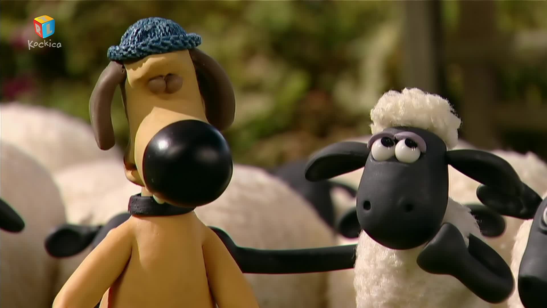 RTLKockica