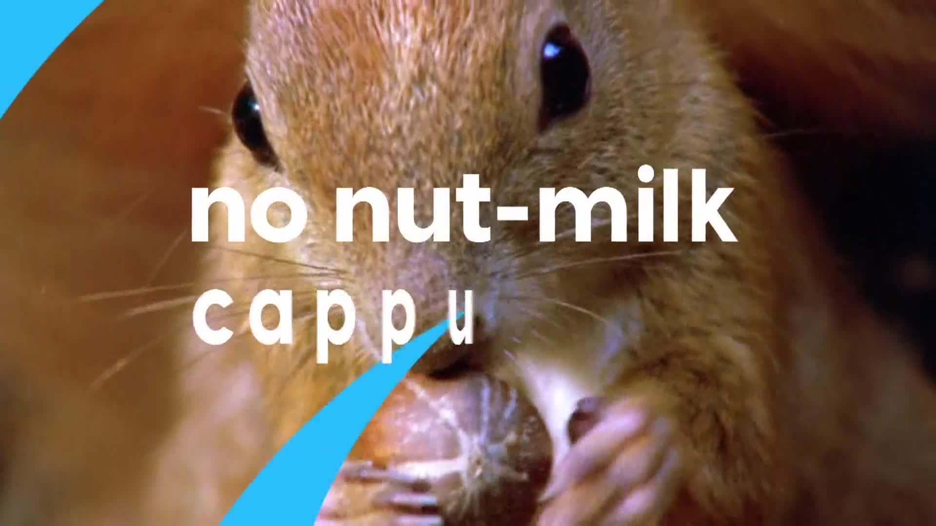 AnimalPlanet