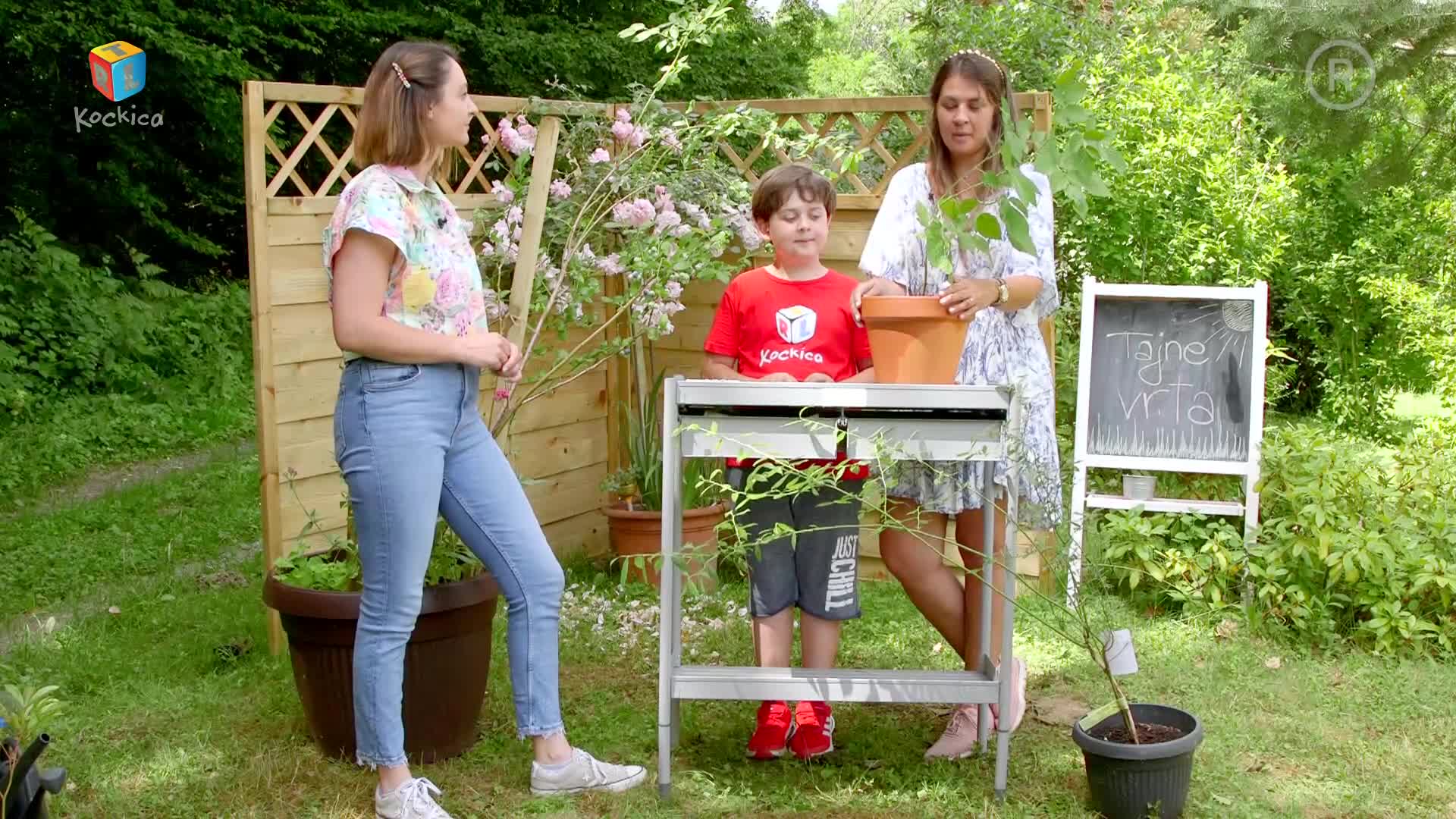 RTLKockica
