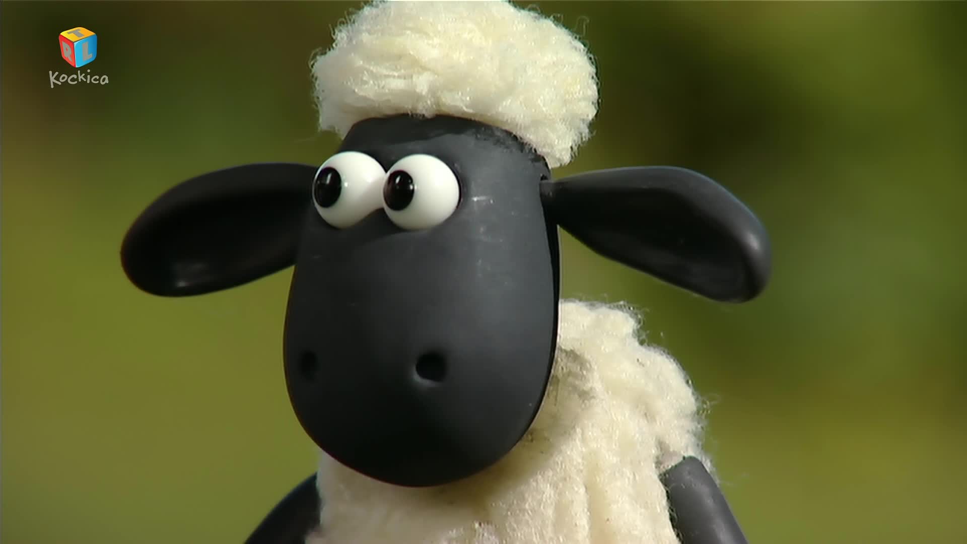 RTLKockica