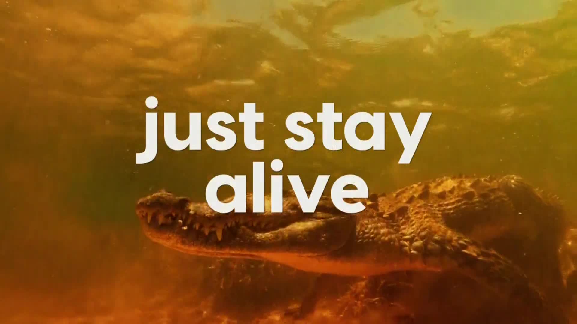 AnimalPlanet