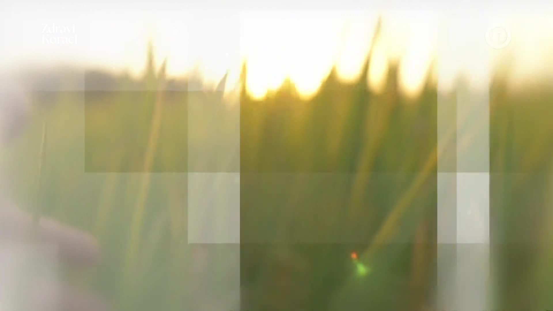NovaTVbh