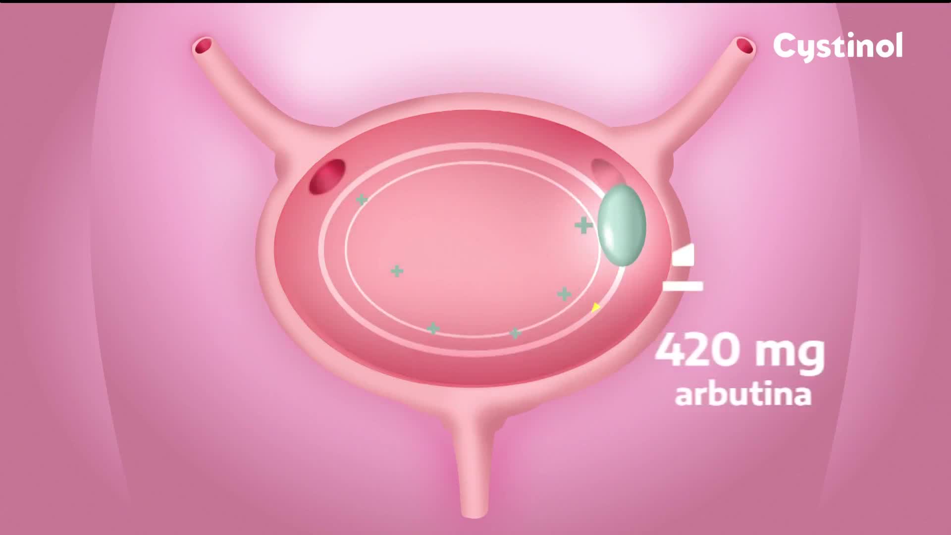 HRT2