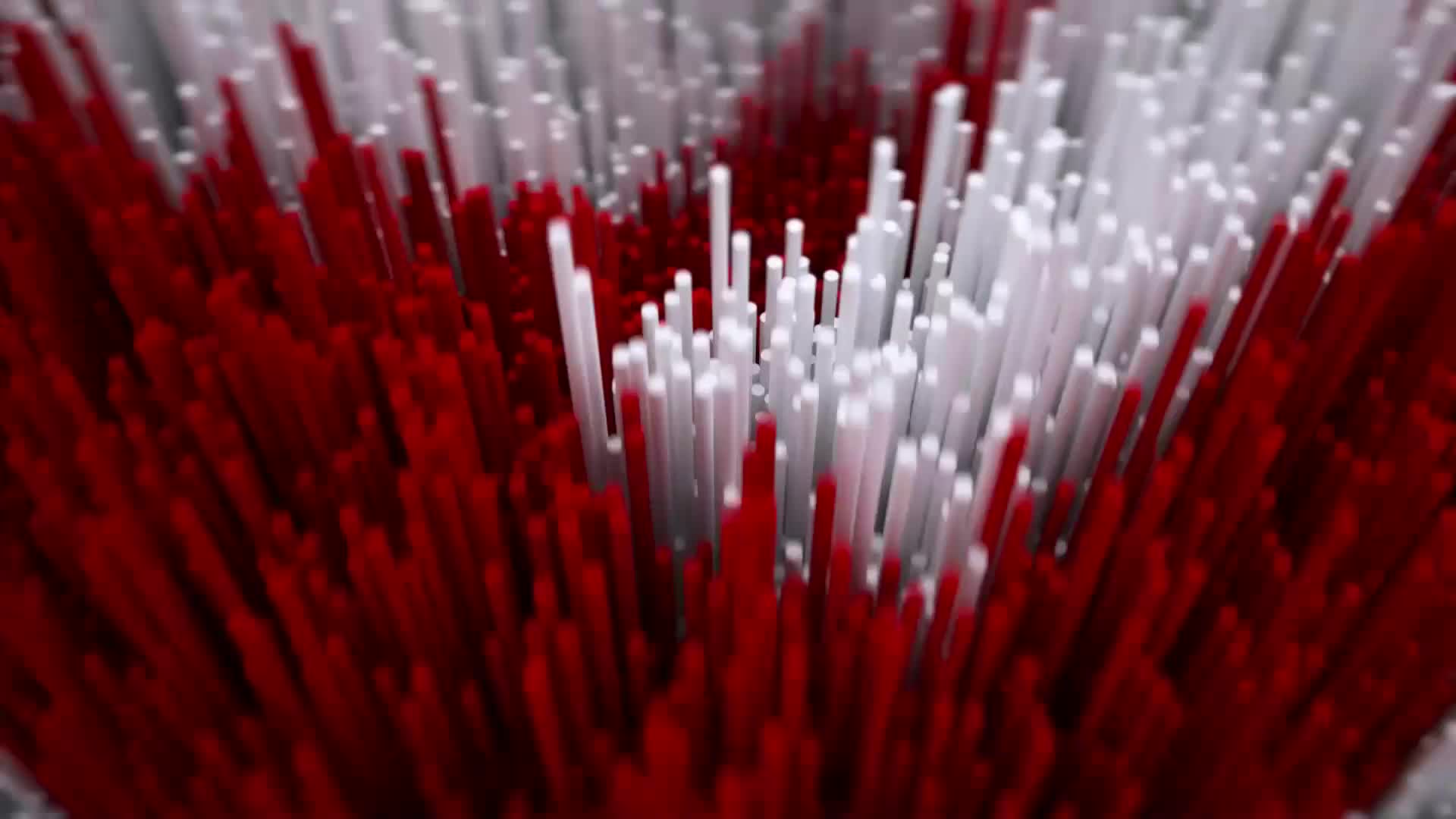 NovaTVPlus