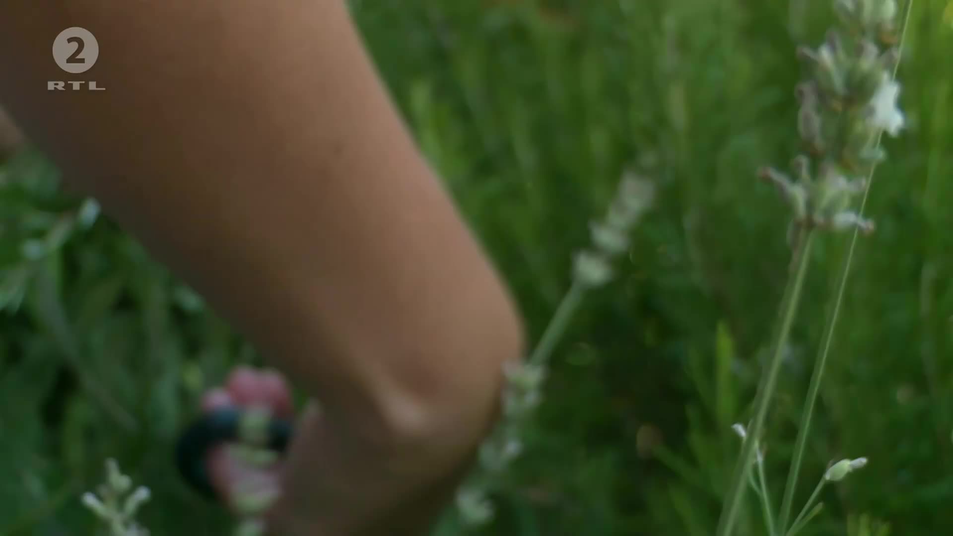 RTL2