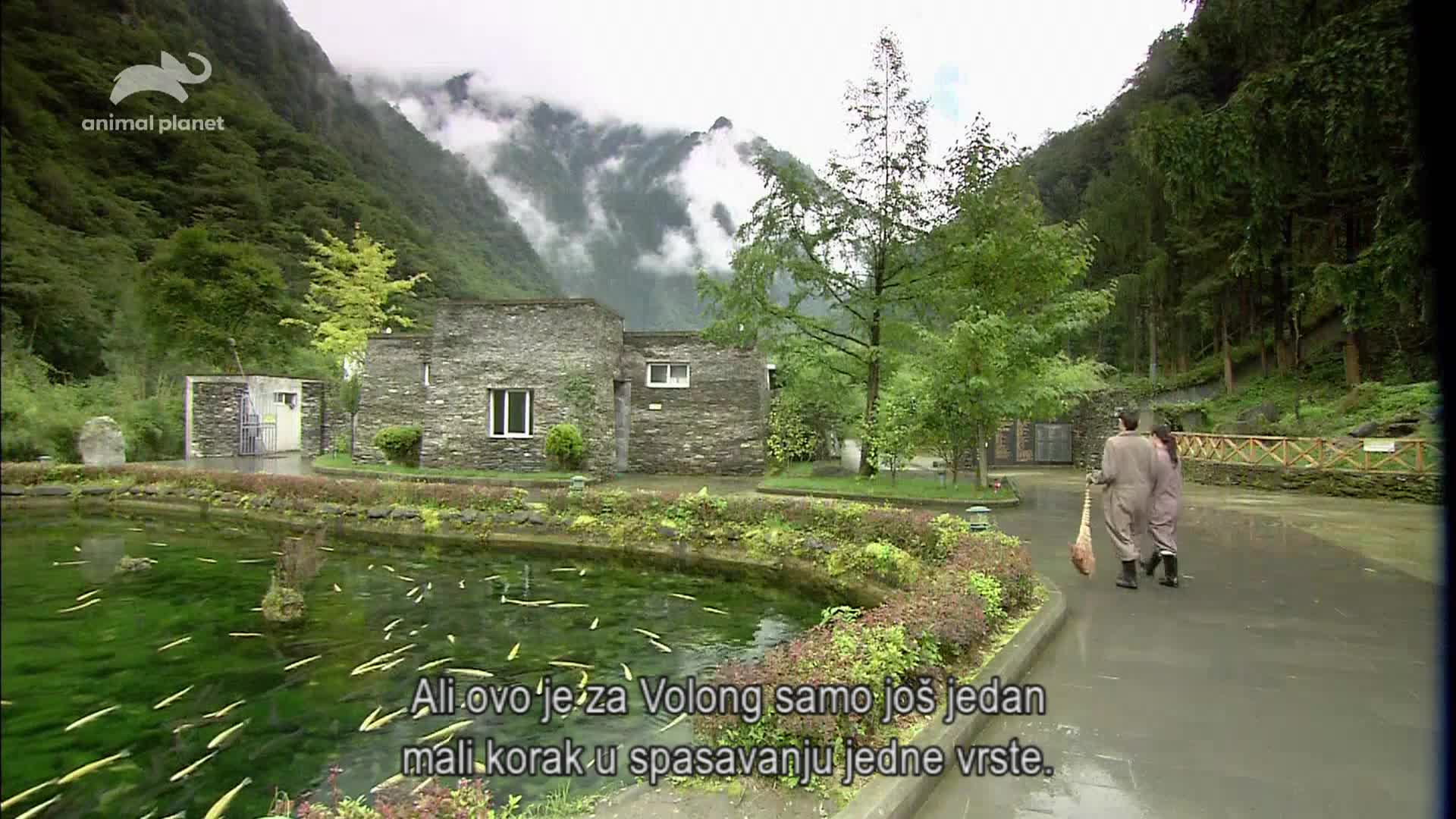 AnimalPlanet
