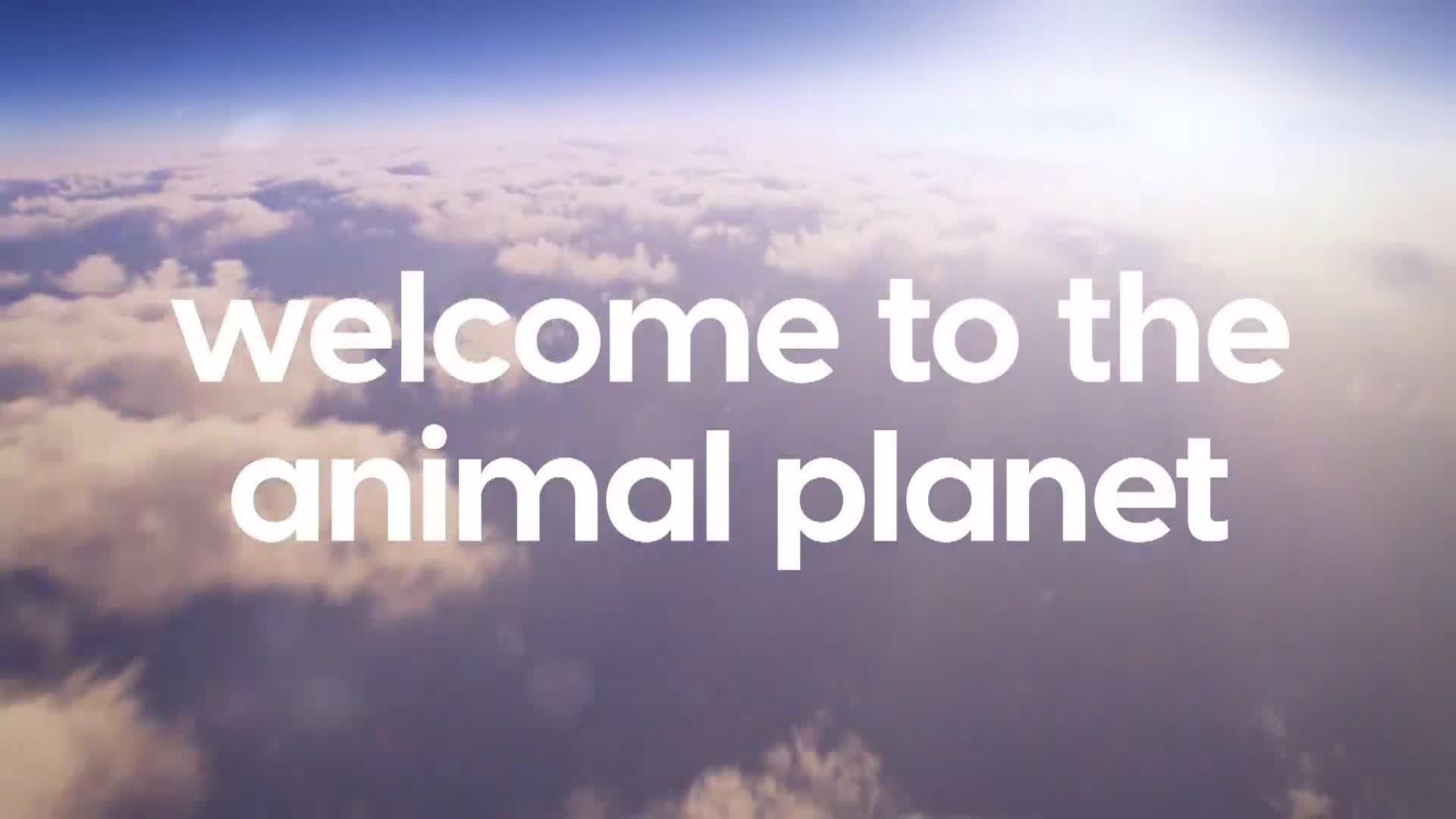 AnimalPlanet