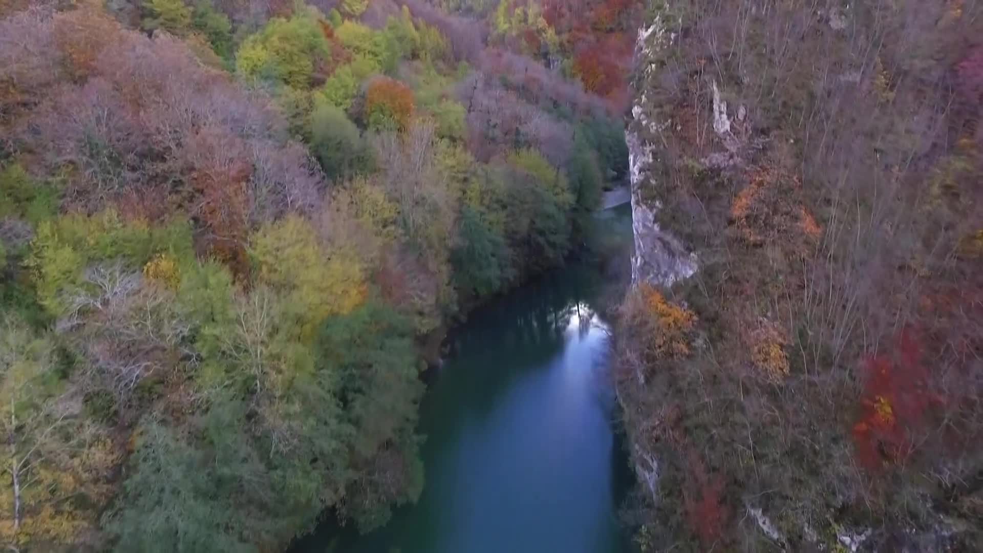 DokuTV