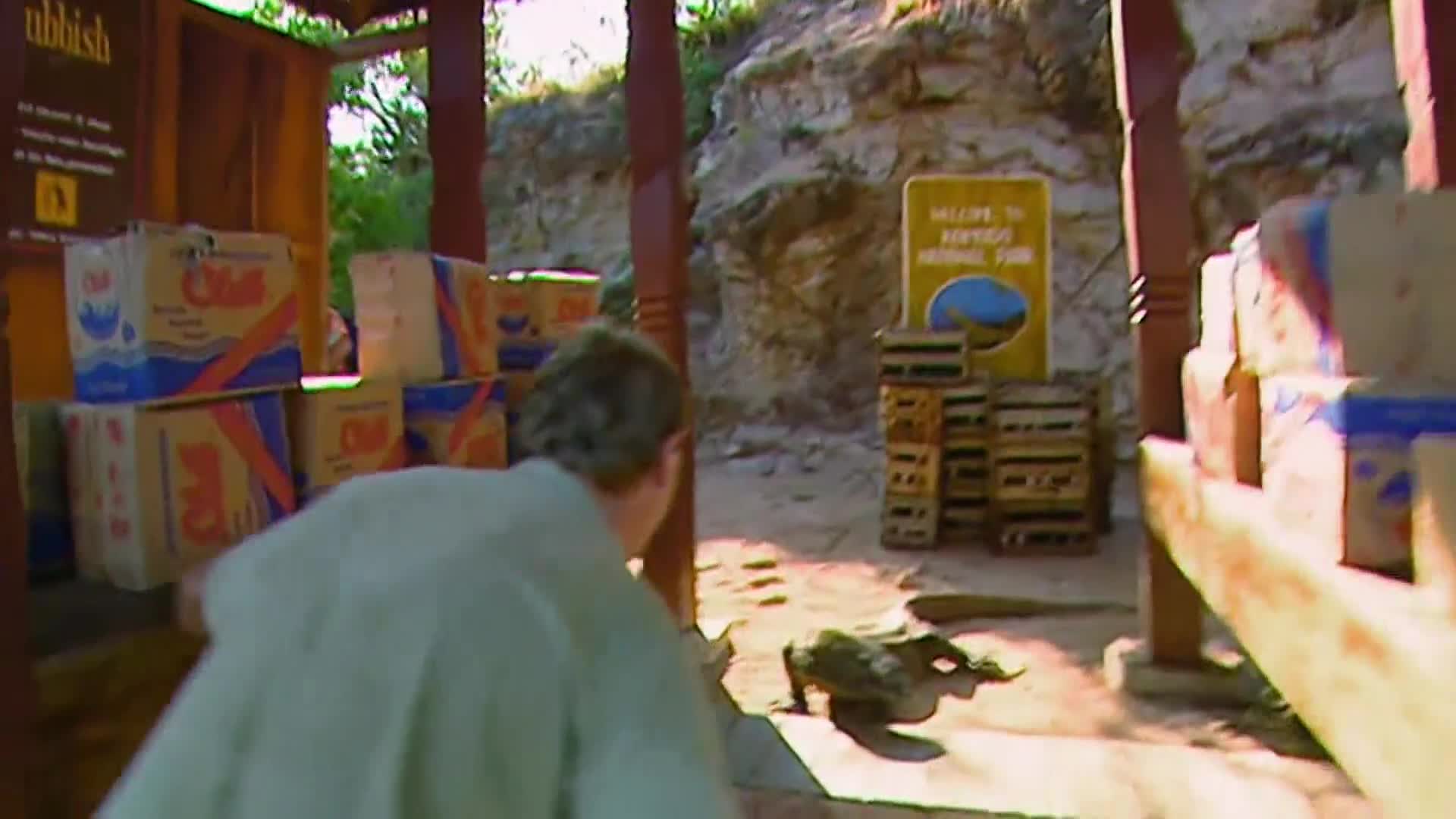 AnimalPlanet