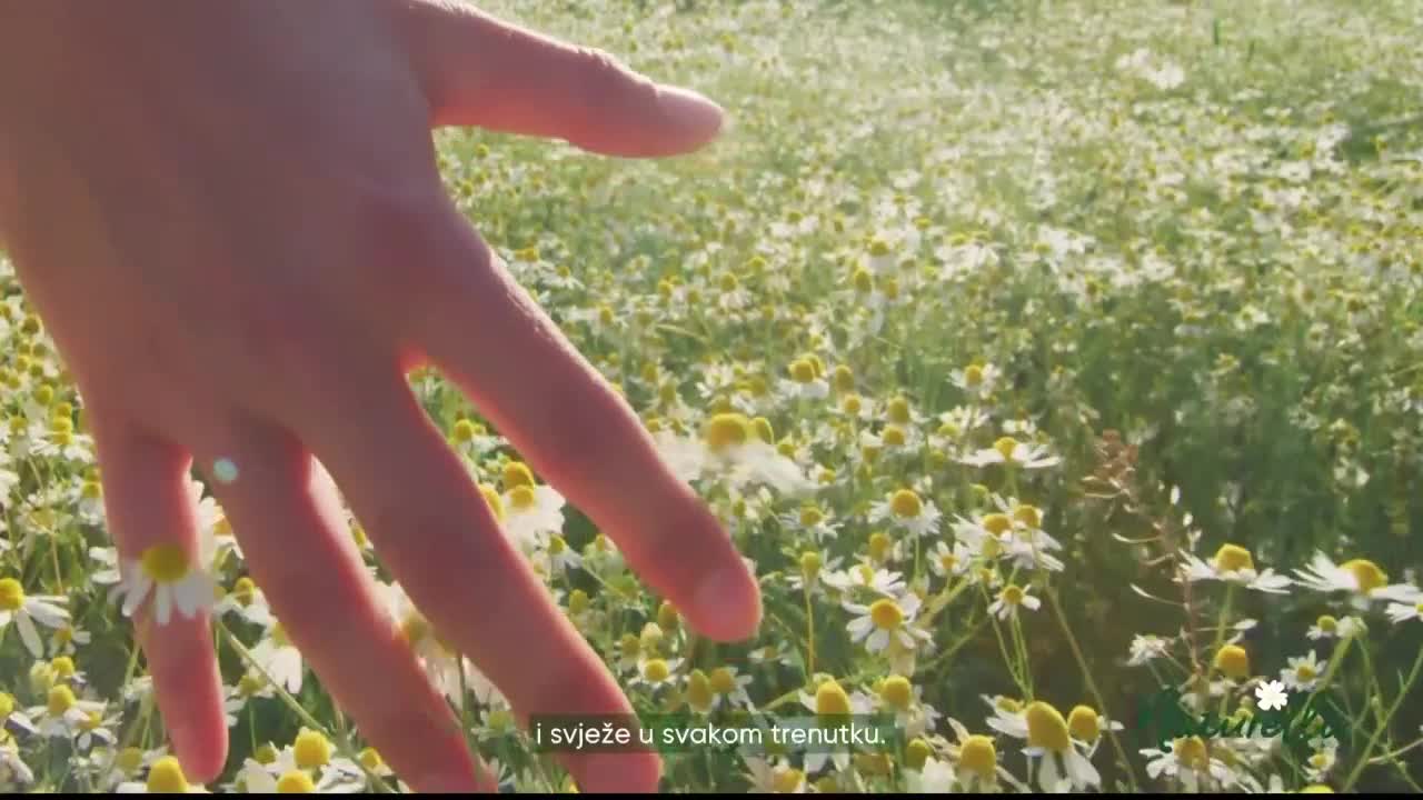 FTV