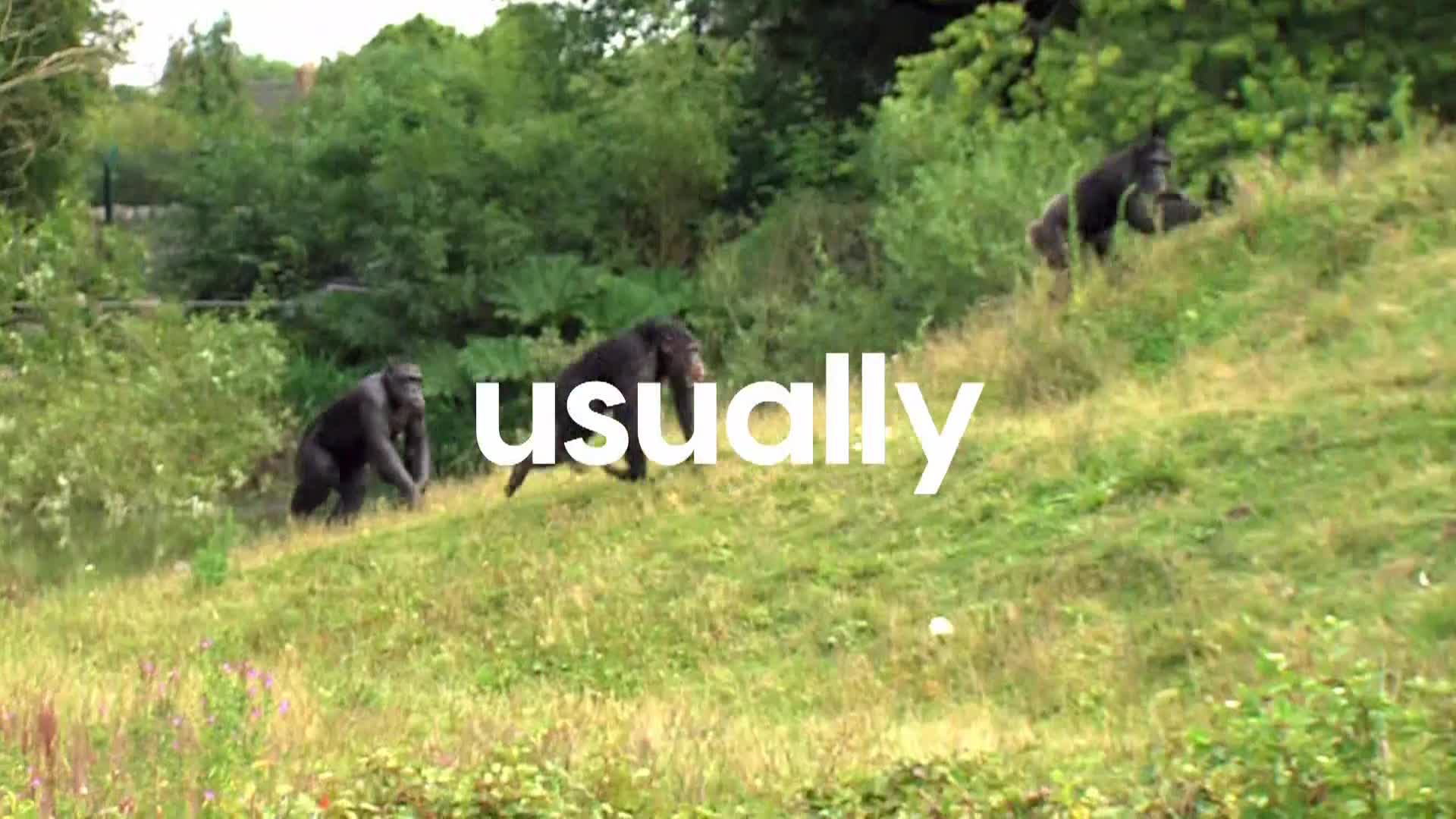 AnimalPlanet