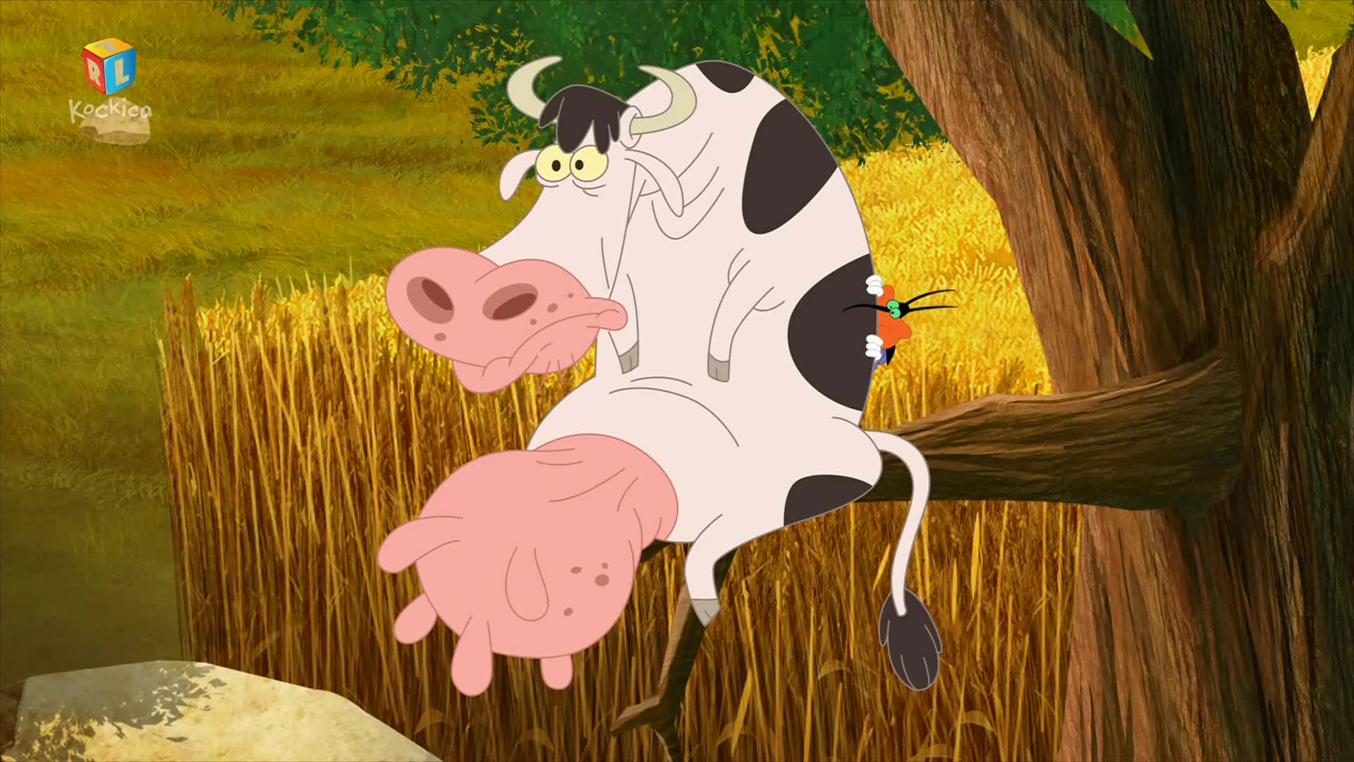 RTLKockica
