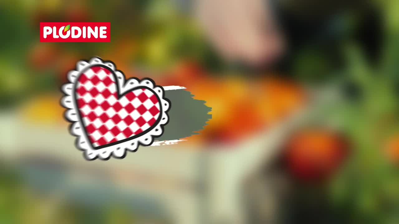 DomaTV