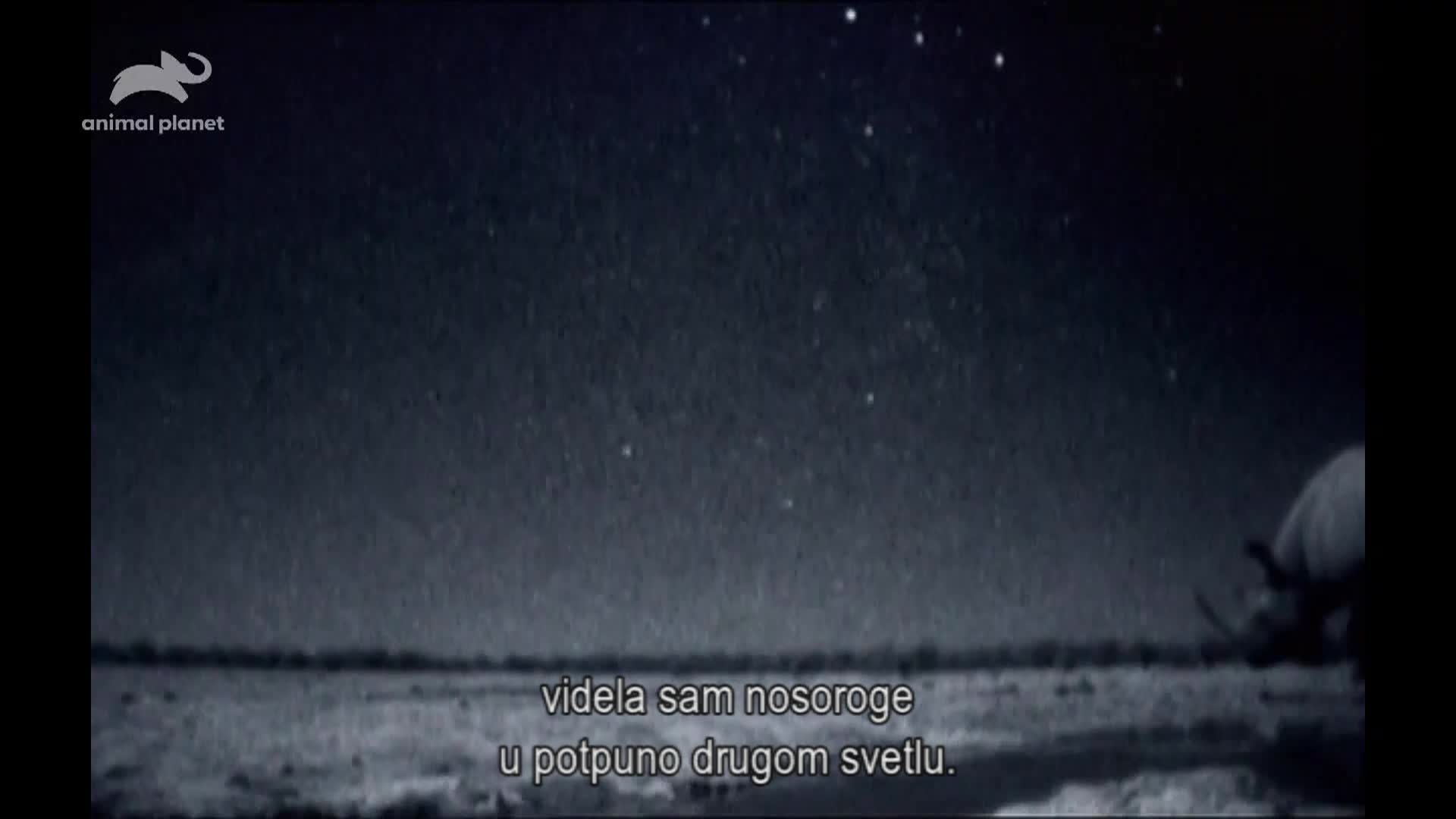 AnimalPlanet
