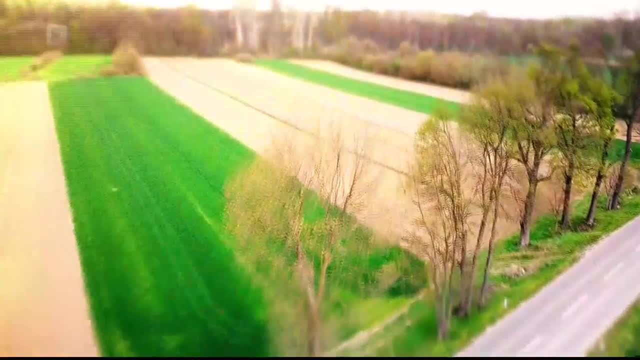 FTV