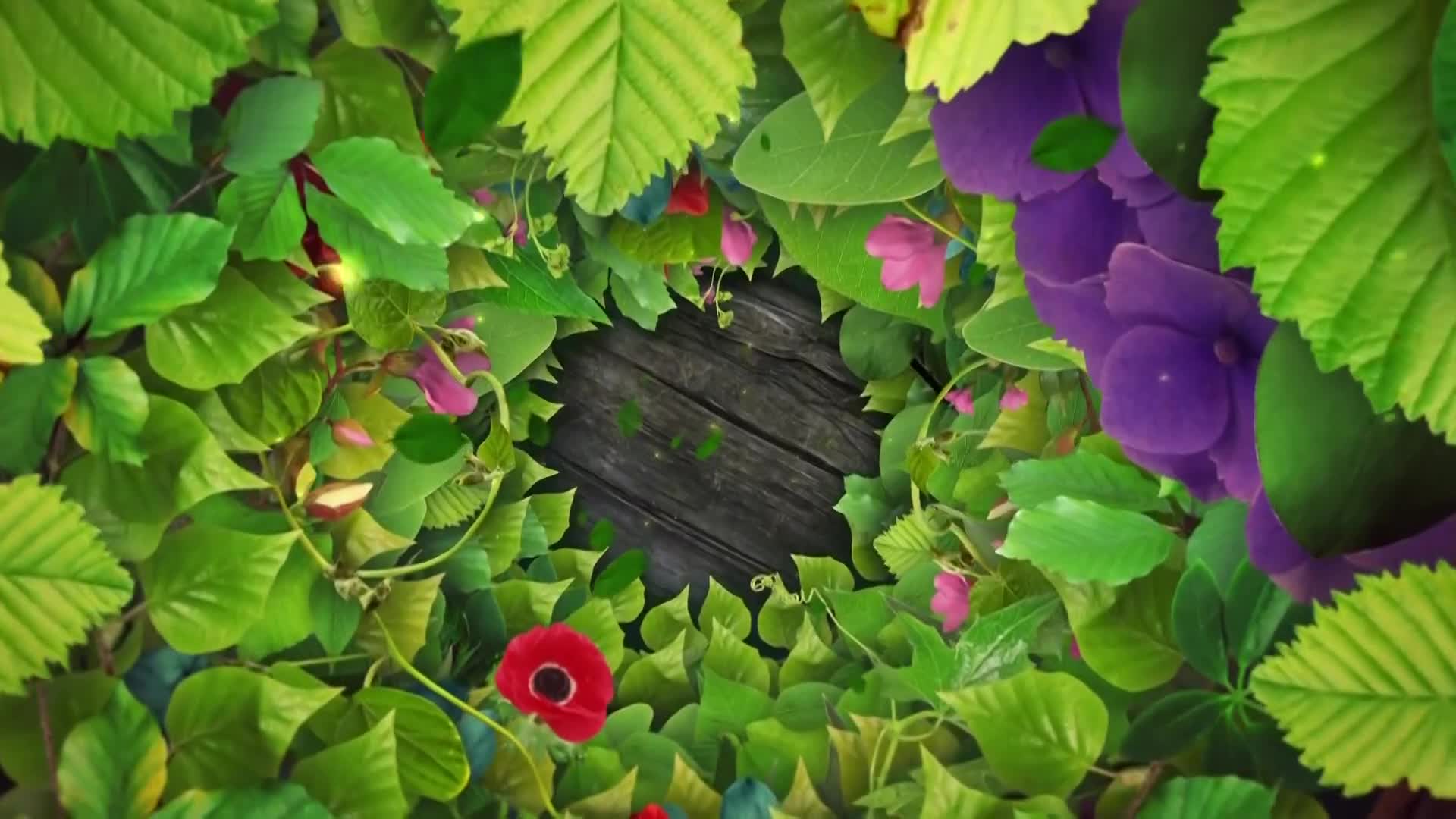 DokuTV