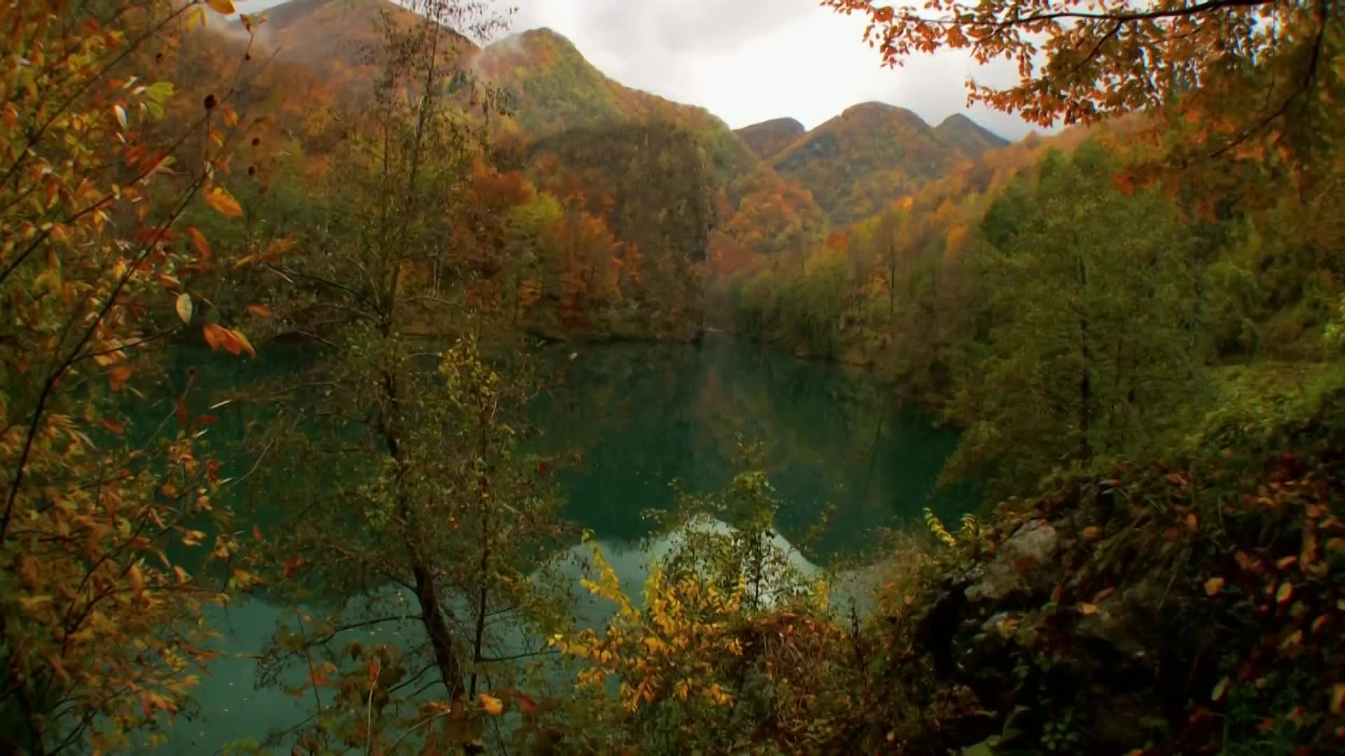 DokuTV