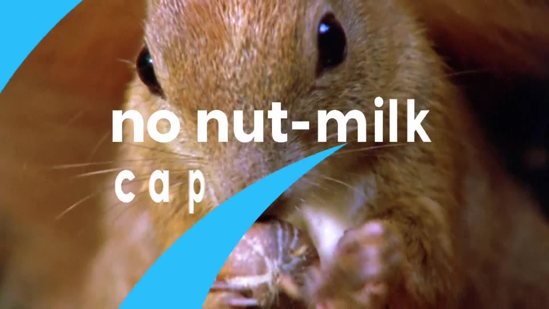 AnimalPlanet