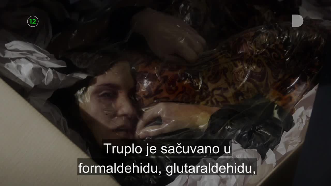 DomaTV