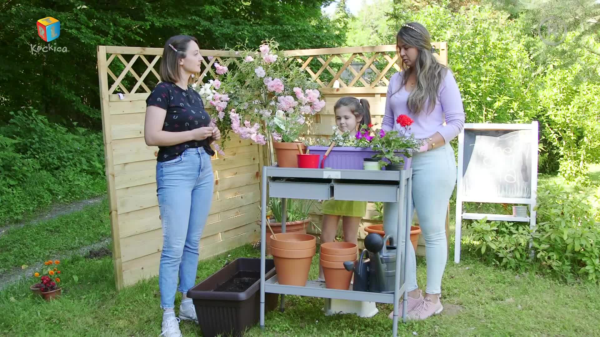 RTLKockica