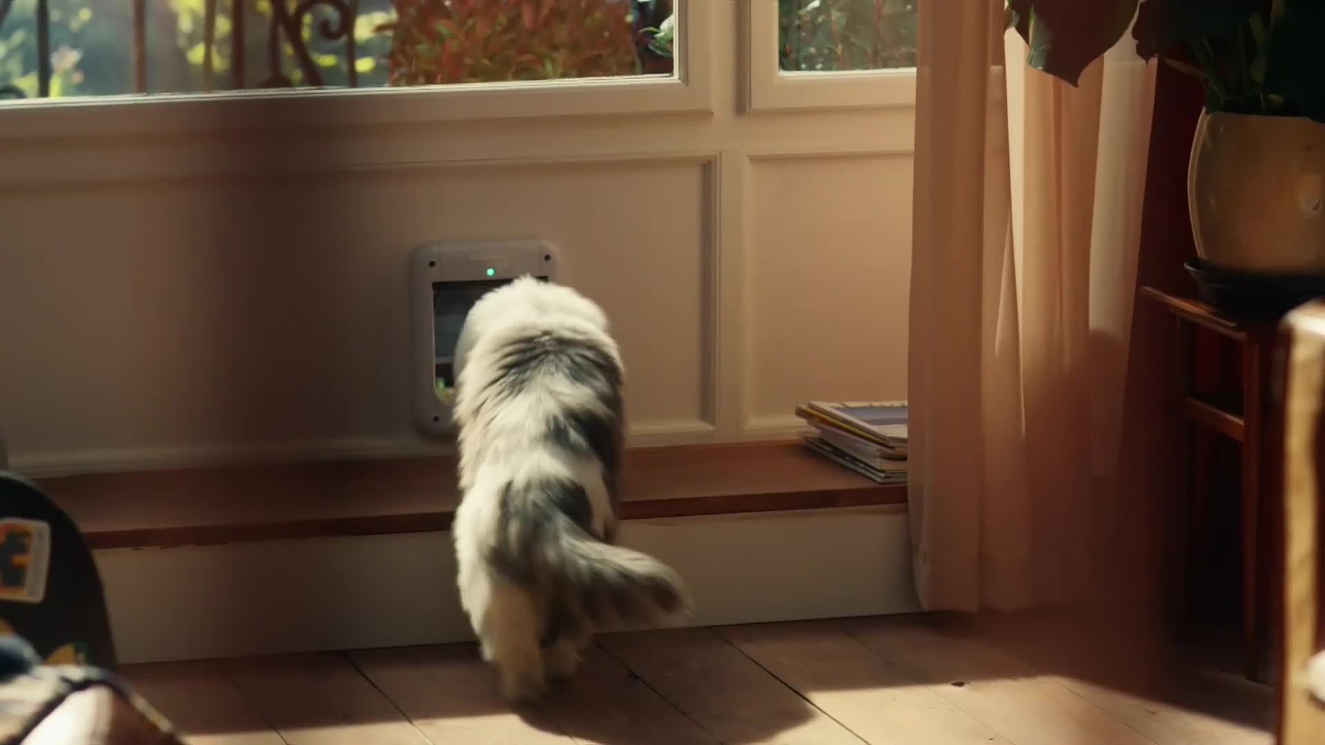NovaTVPlus