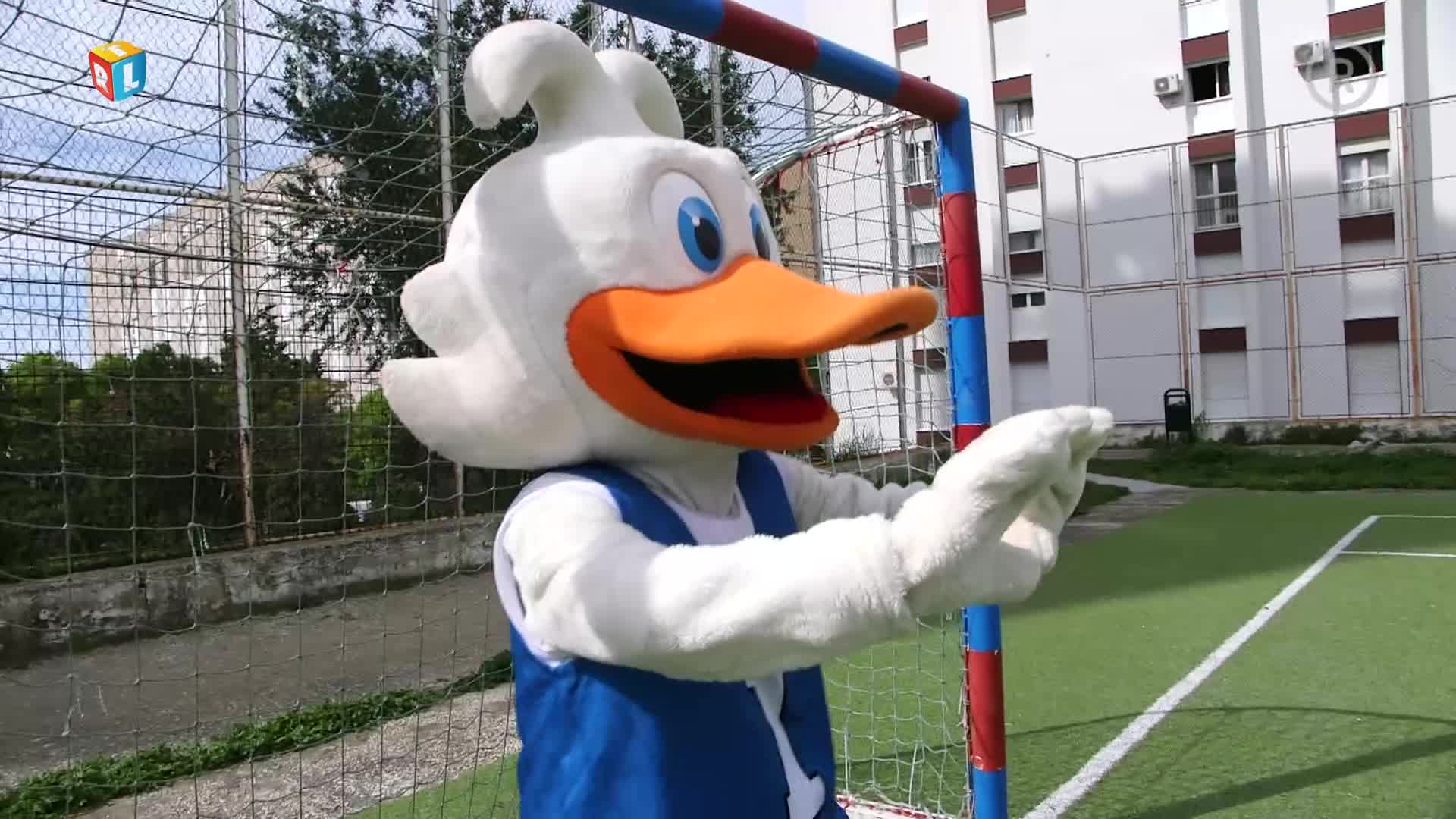 RTLKockica