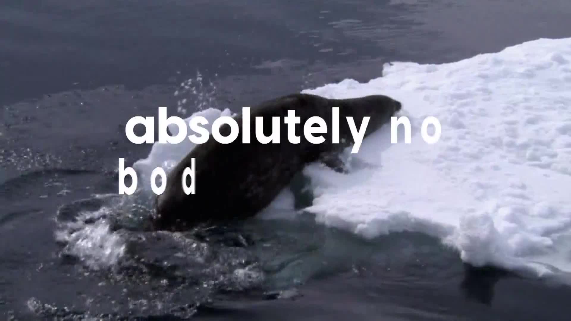 AnimalPlanet