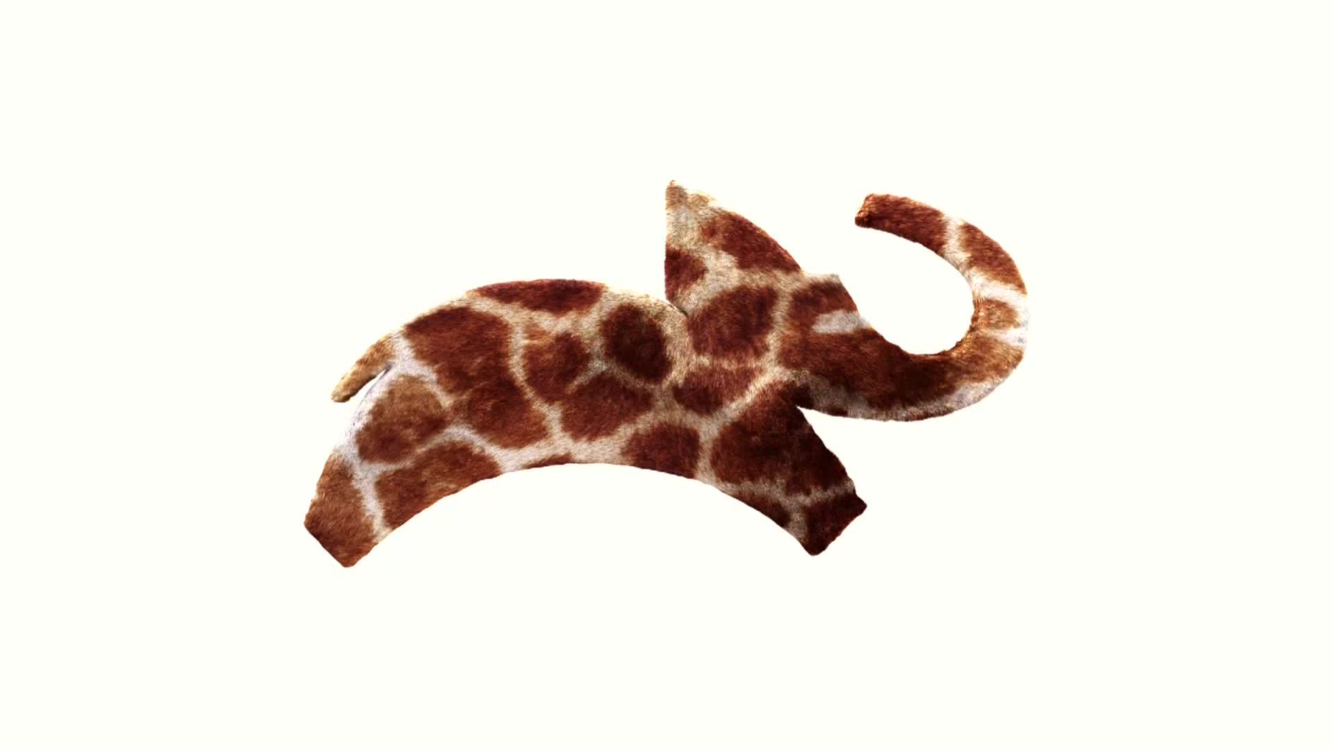 AnimalPlanet