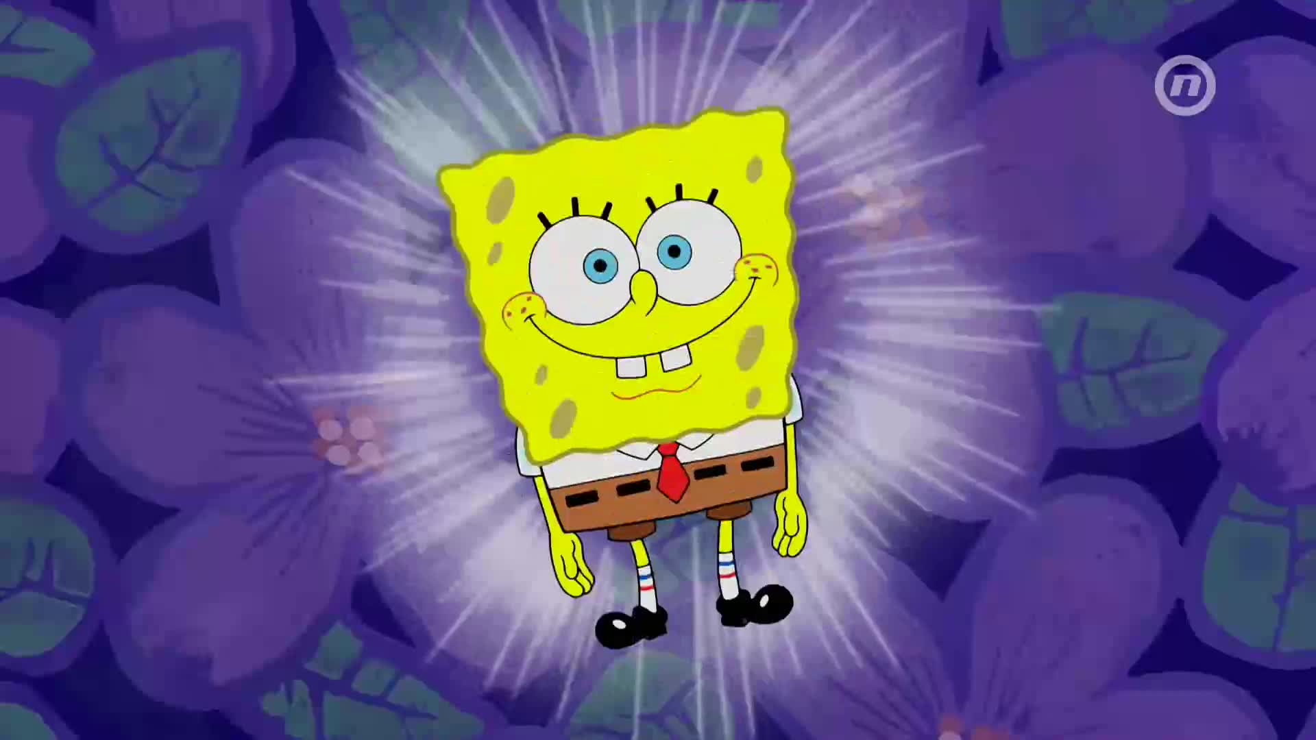NovaTVPlus