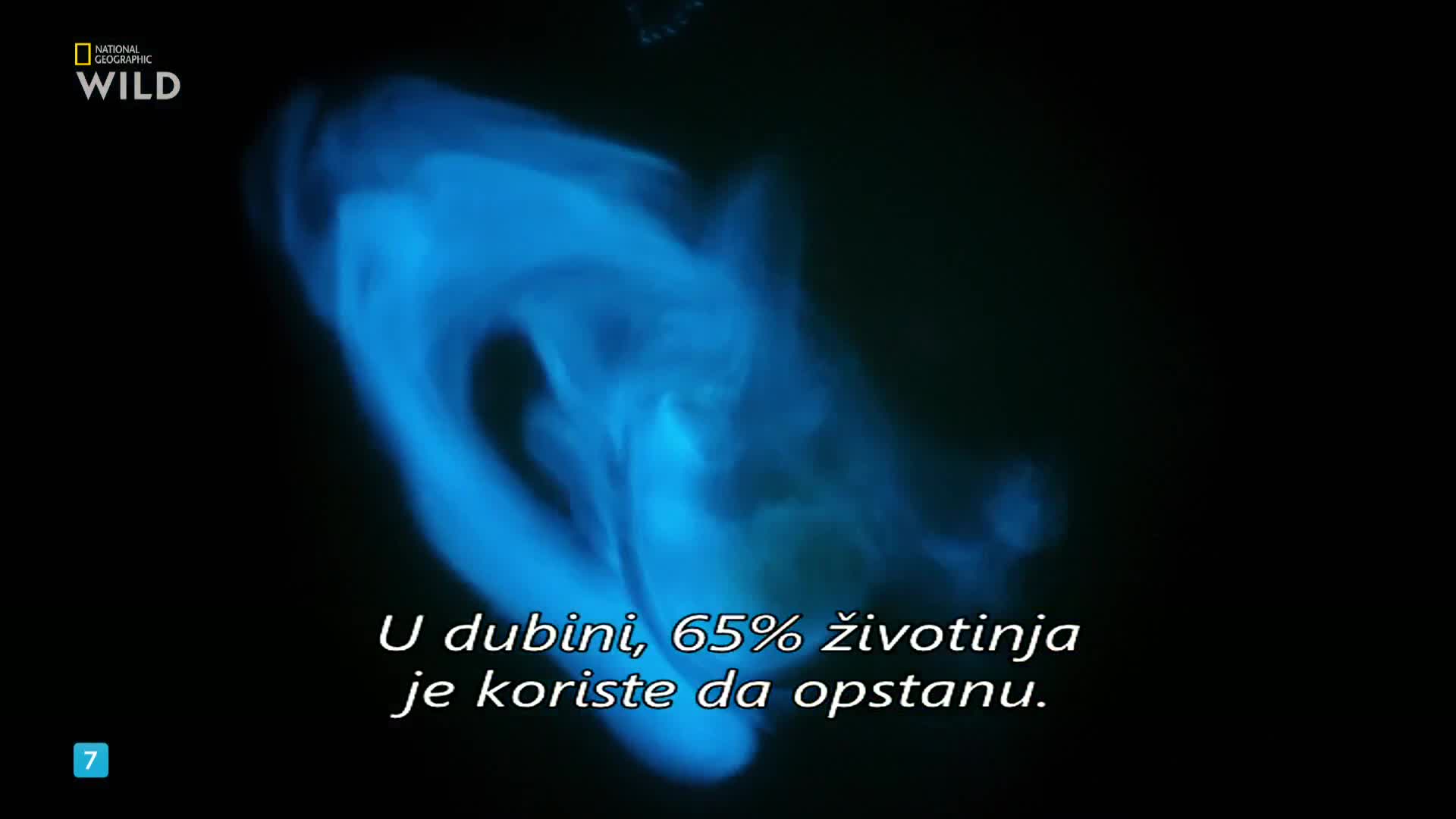 Premium9
