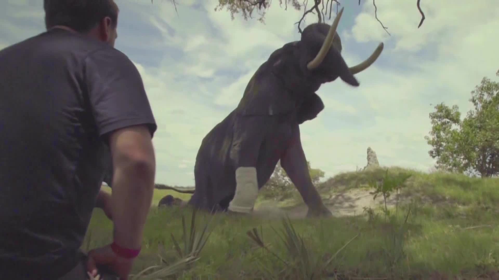 AnimalPlanet
