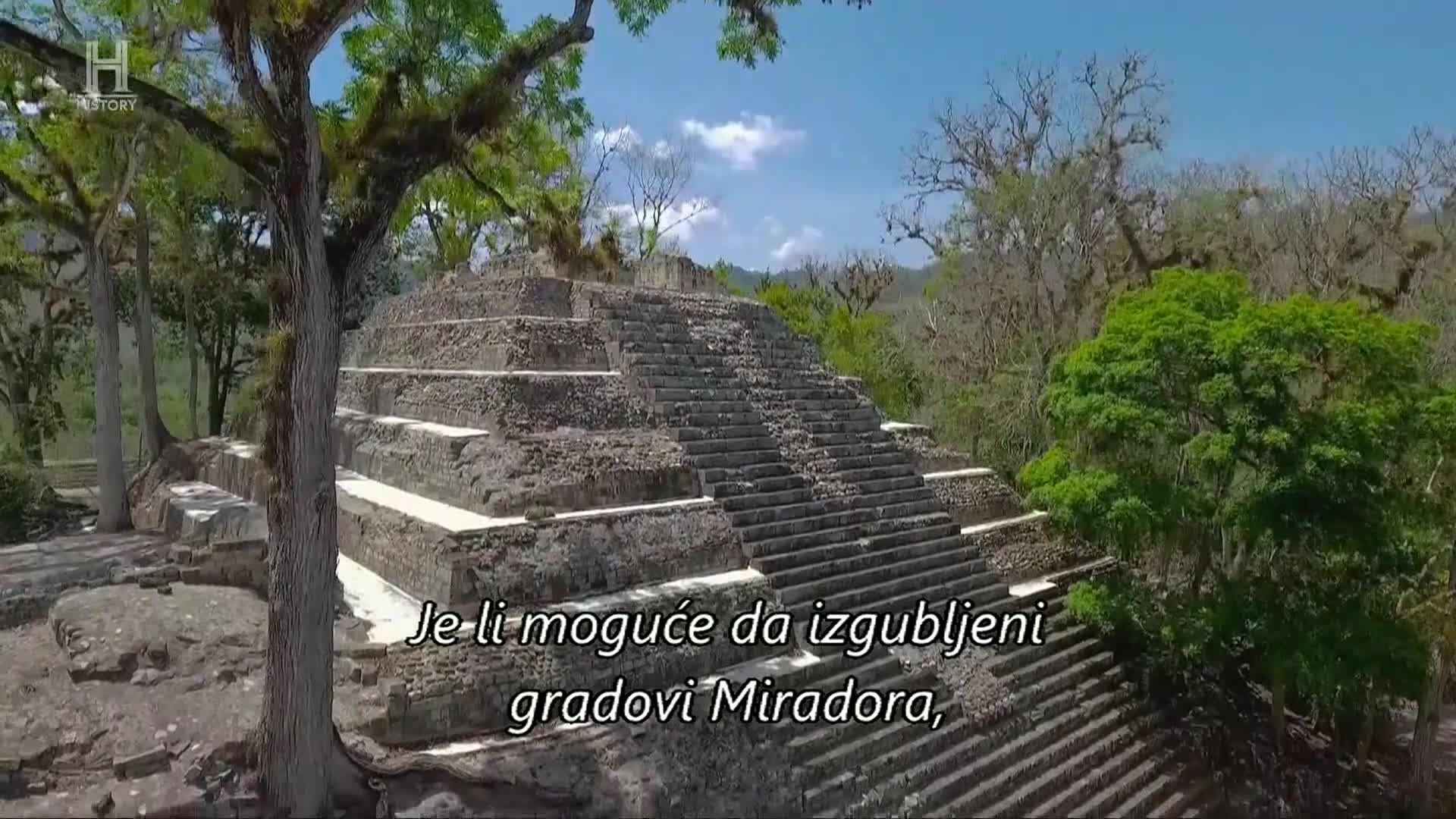 History