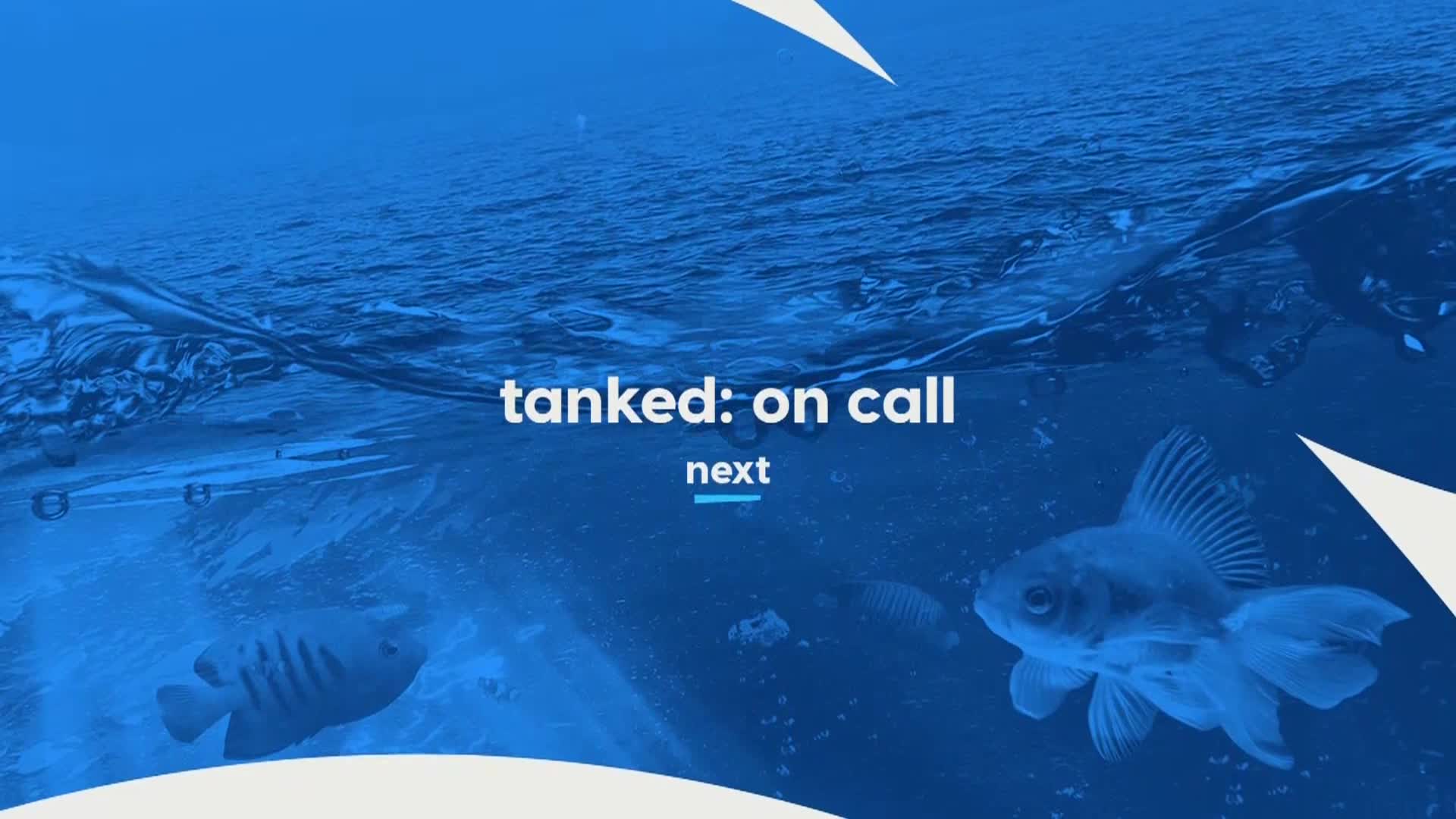 AnimalPlanet