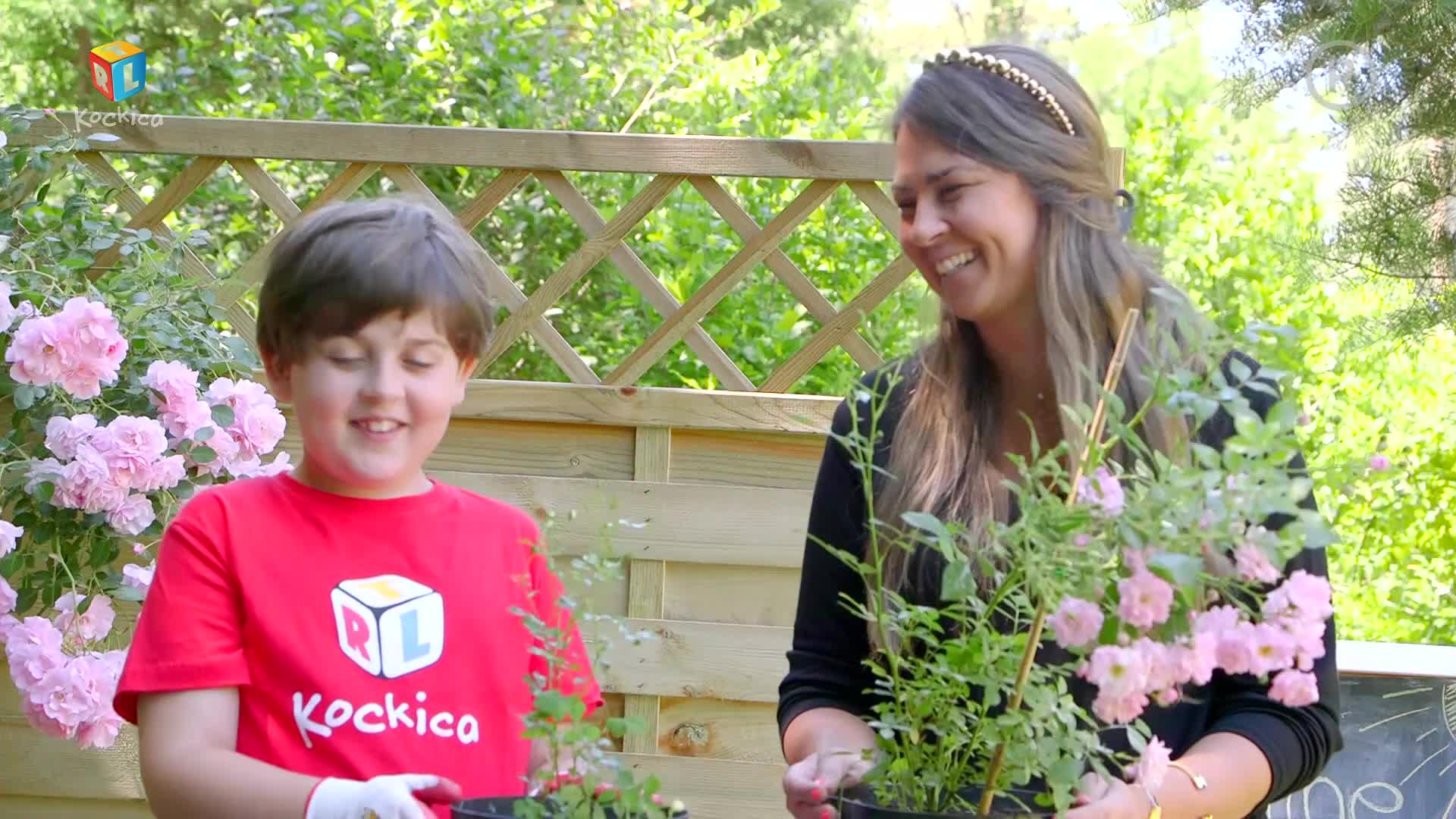 RTLKockica
