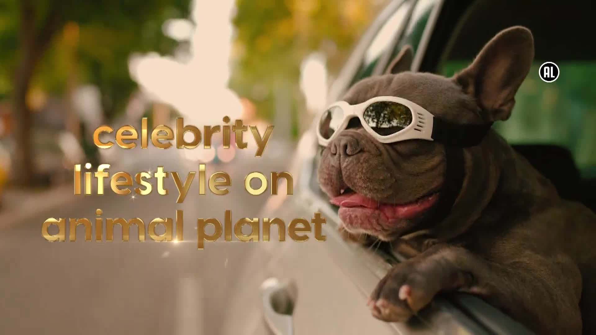 AnimalPlanet