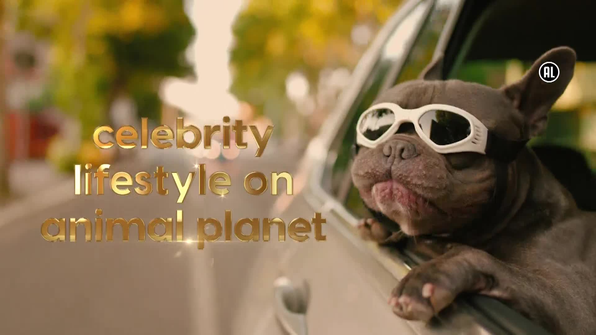 AnimalPlanet