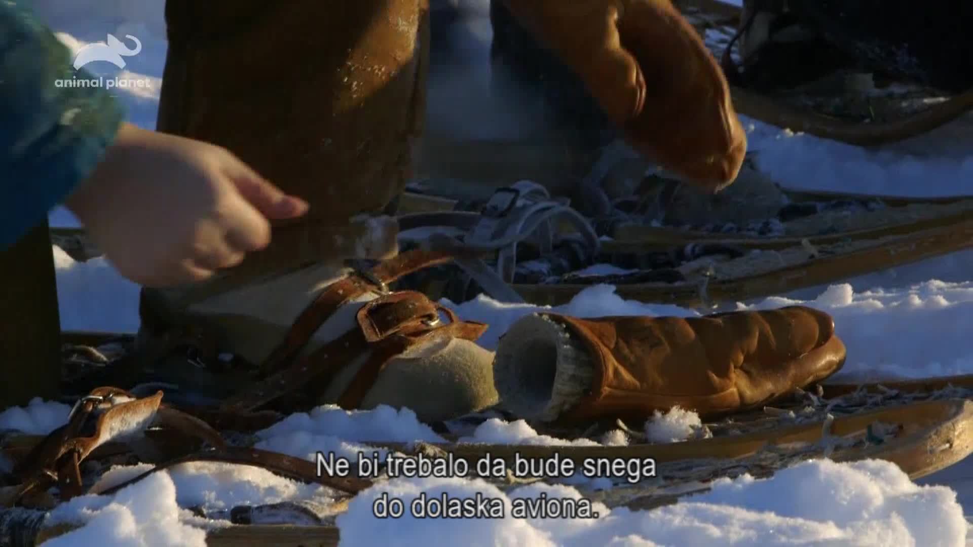AnimalPlanet
