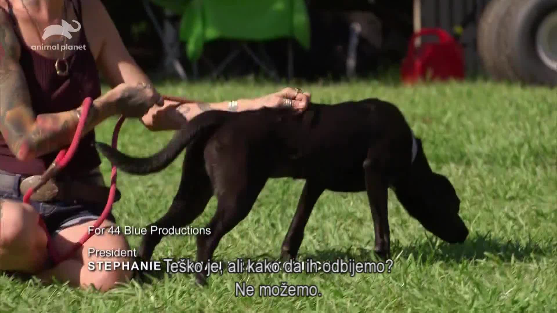 AnimalPlanet