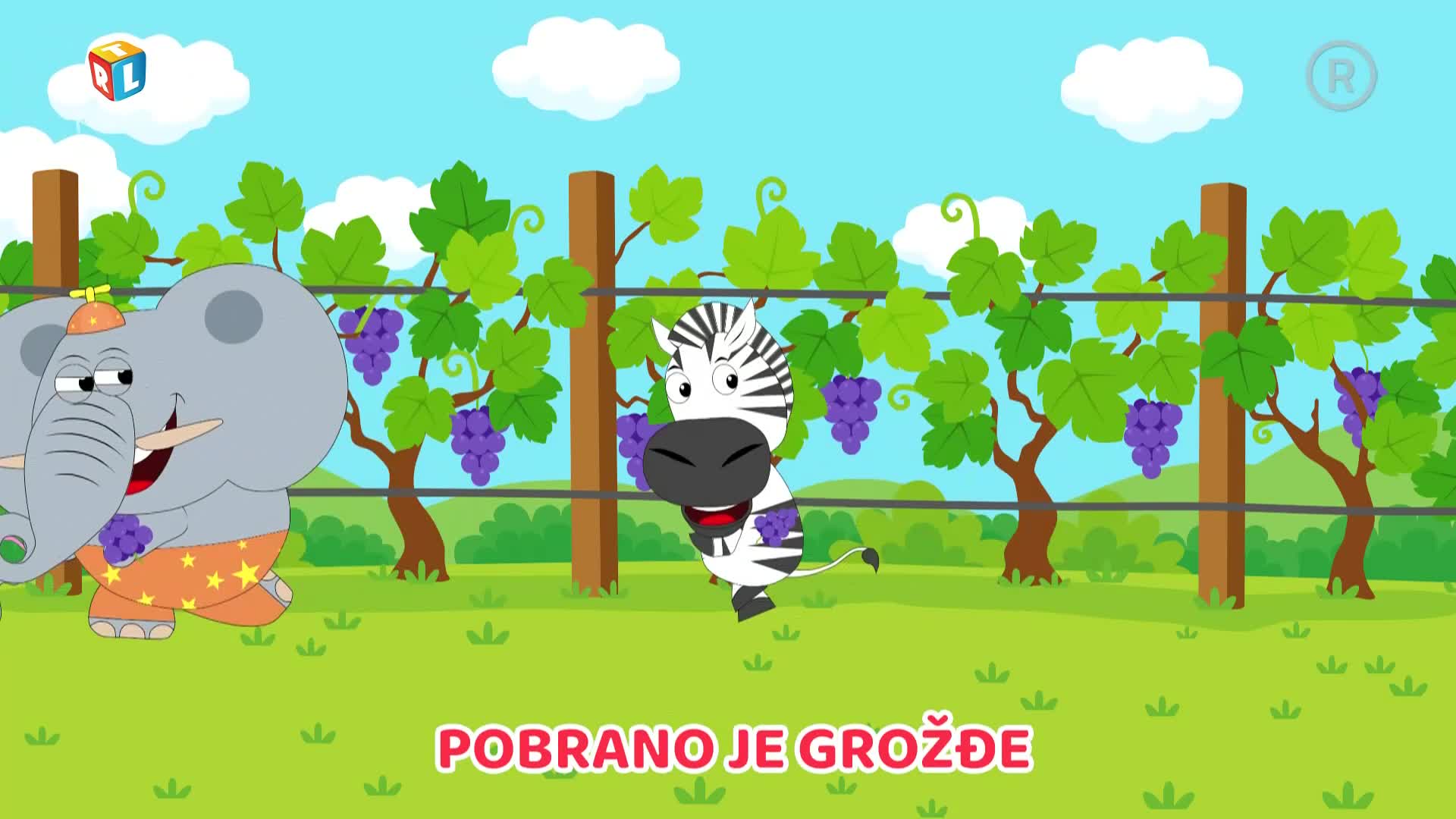 RTLKockica