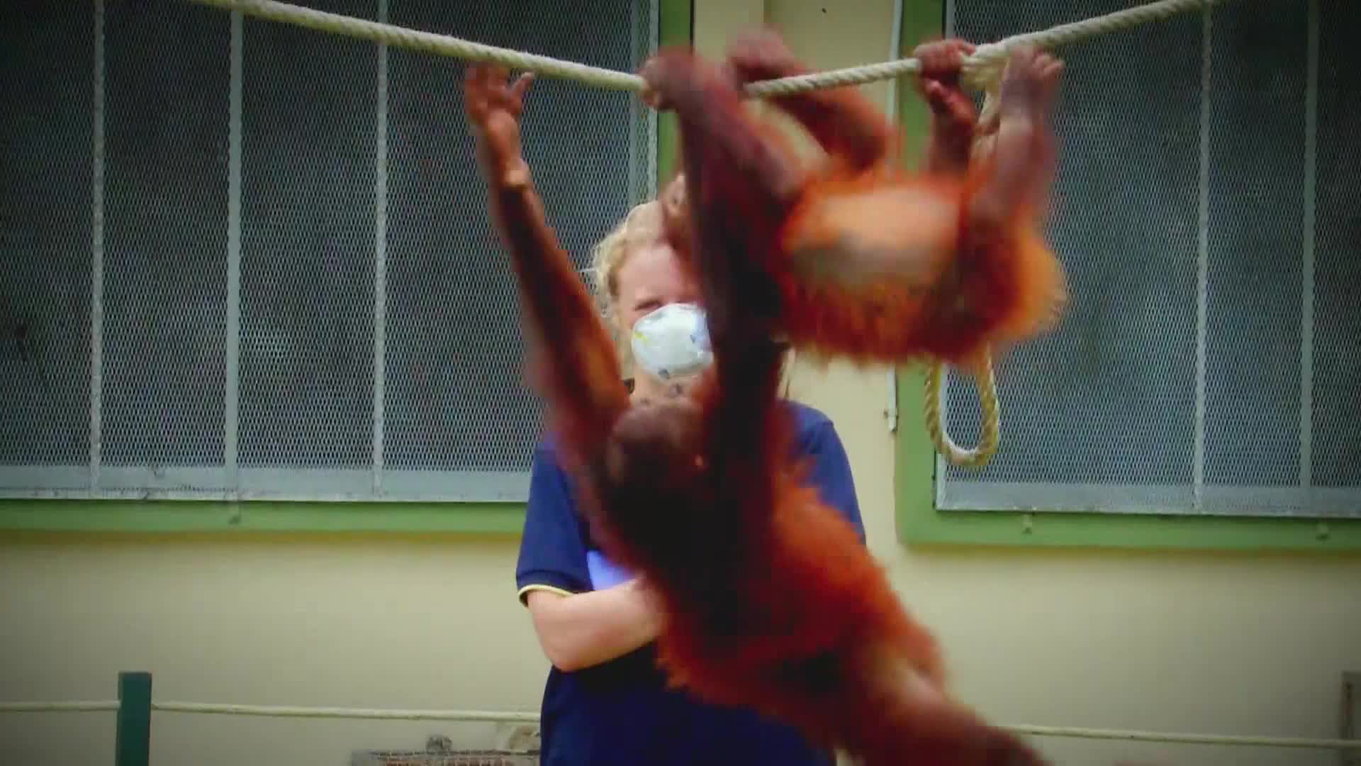 AnimalPlanet