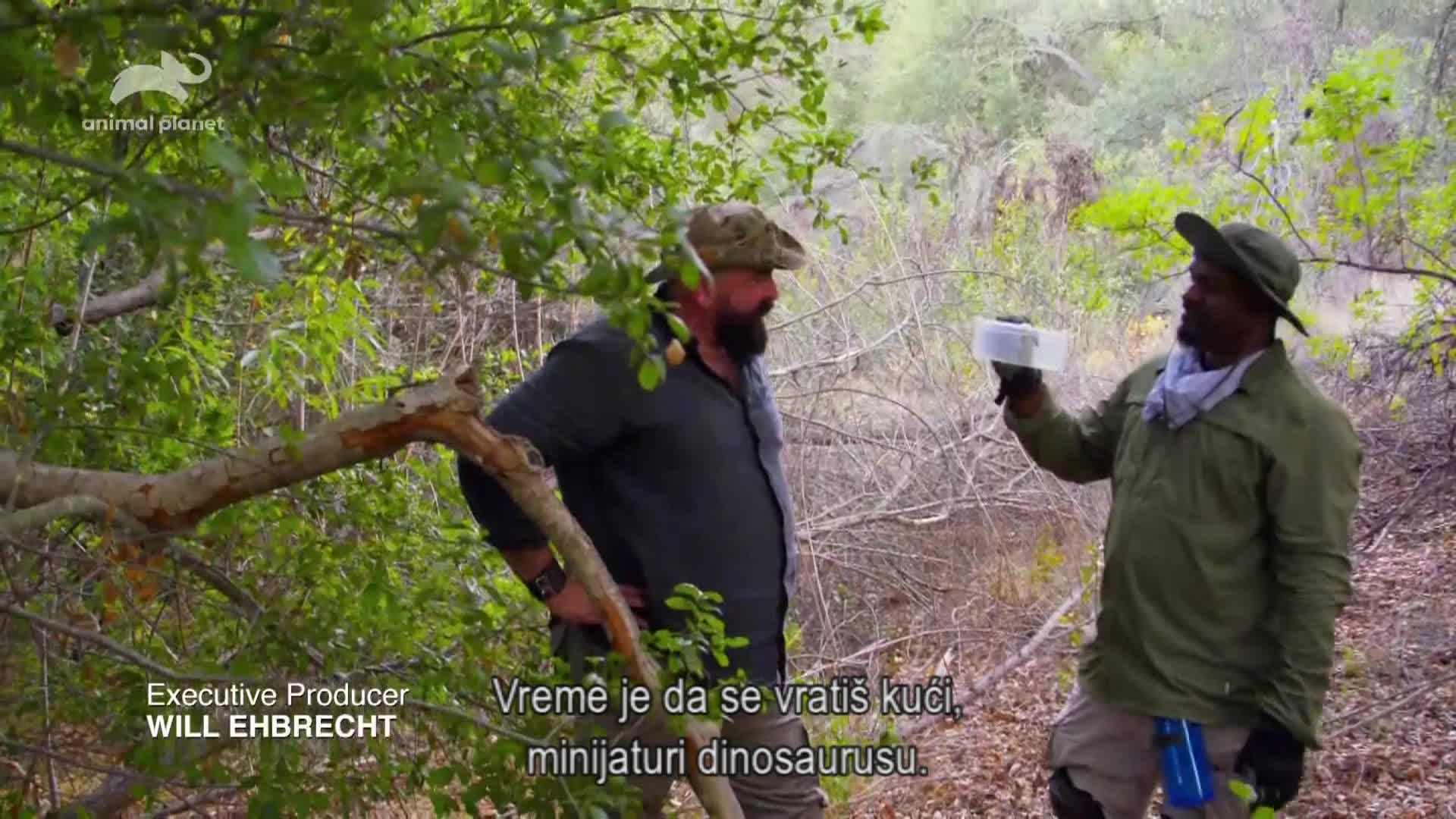 AnimalPlanet