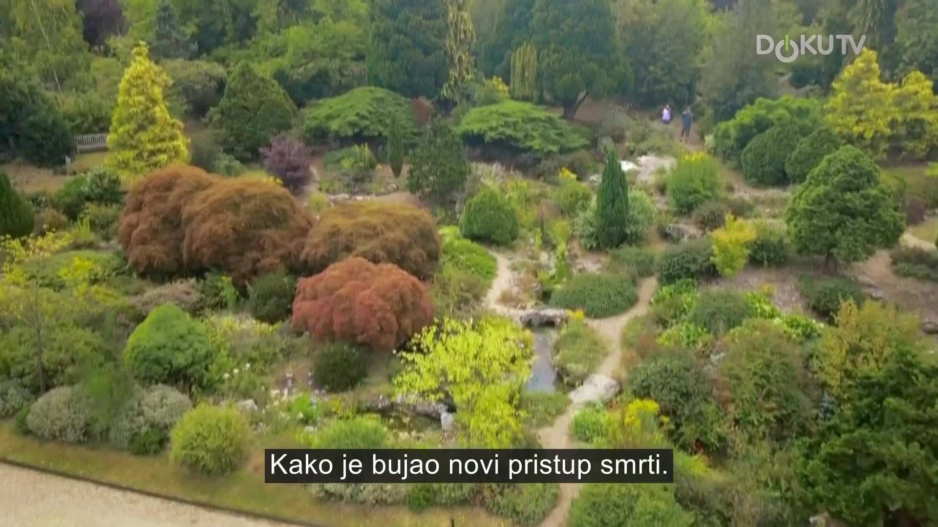 DokuTV