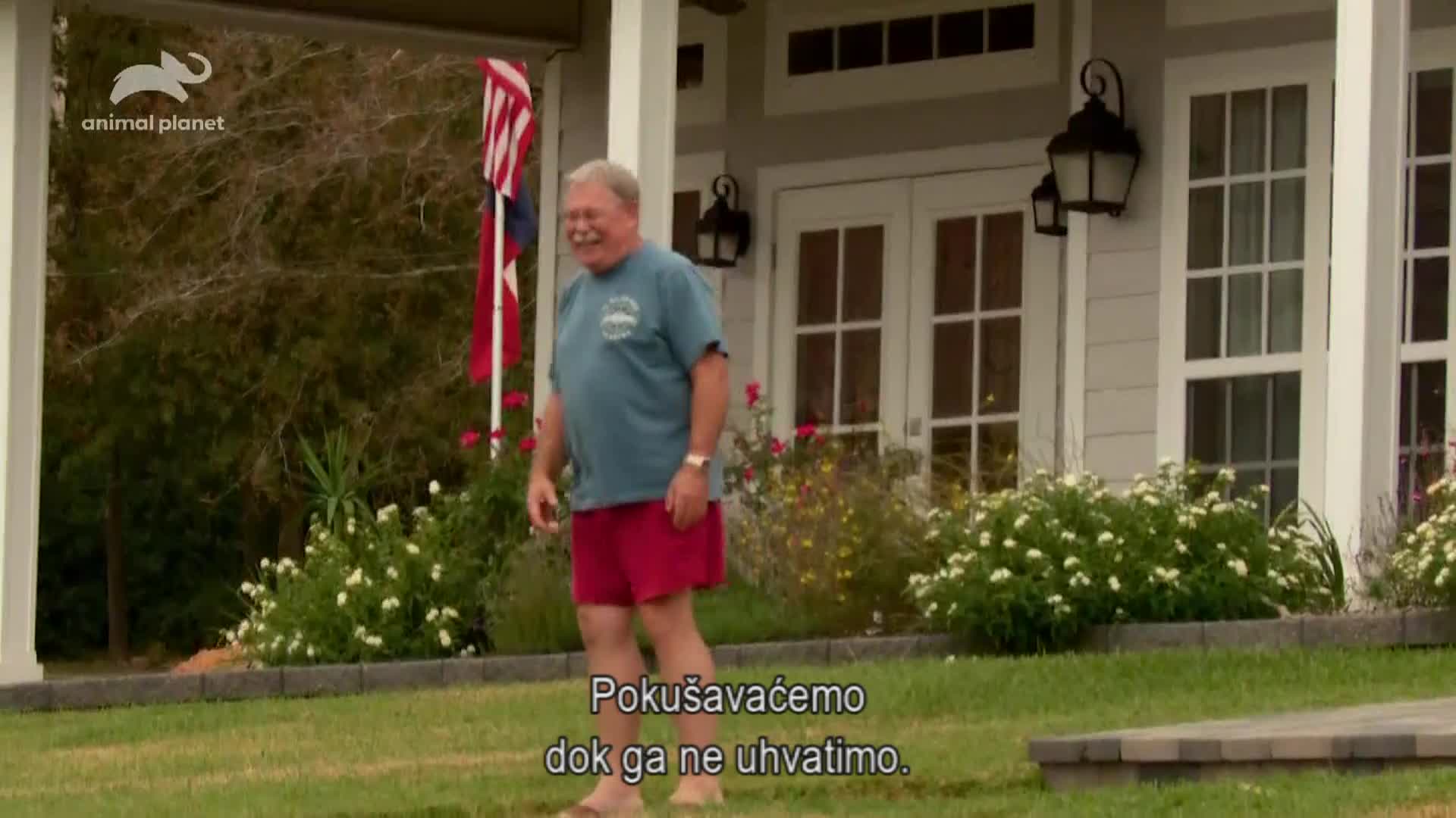 AnimalPlanet