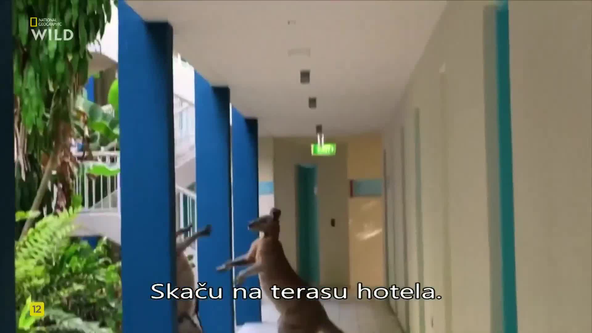 Premium9